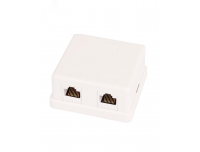 Розетка настенная 2 порта RJ45/8P8C Netlan